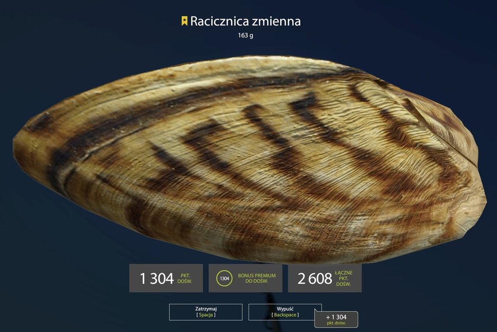Achtuba 51.138 dżownica.jpg