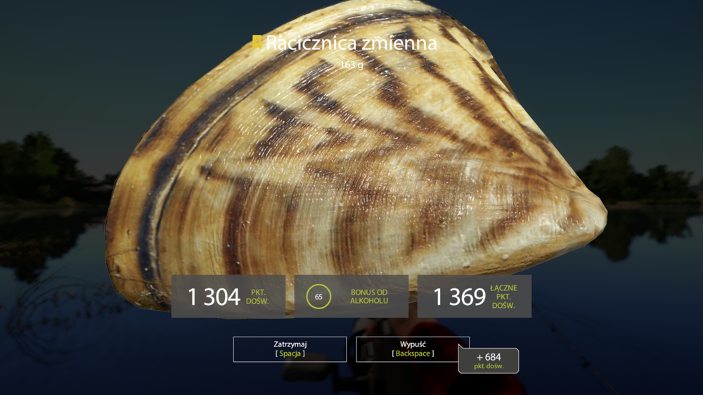 rf4_4.0.12536_20190816_142756.png
