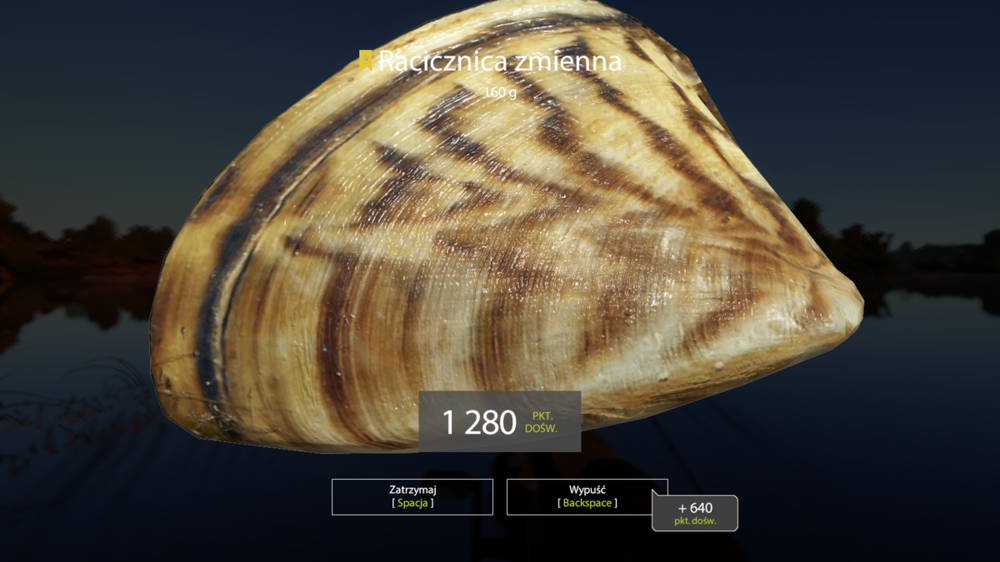 rf4_4.0.12536_20190816_155455.png