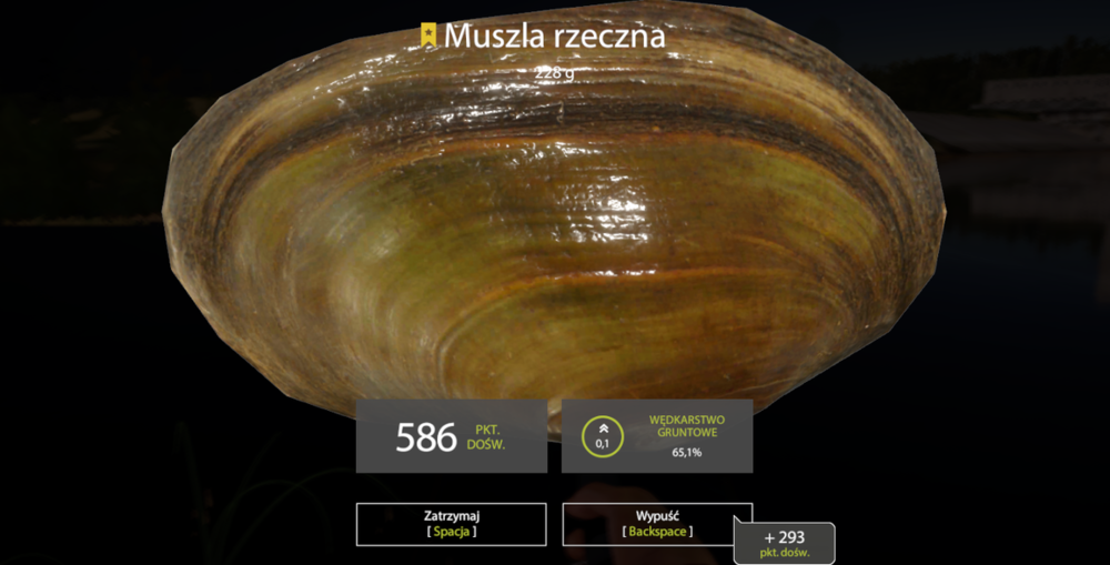 rf4_4.0.12536_20190821_220411.png