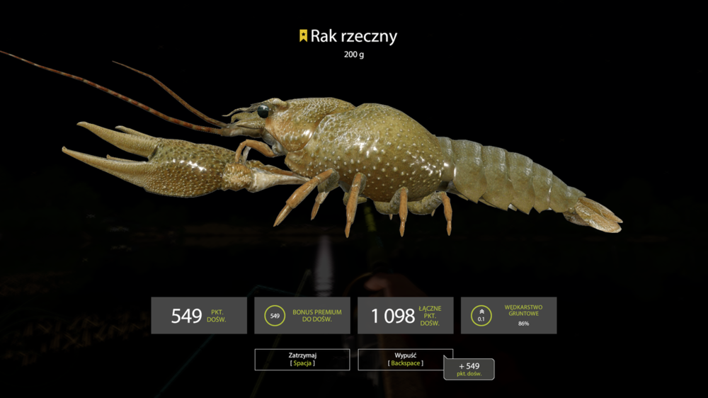 rf4_4.0.12536_20190823_180352.png
