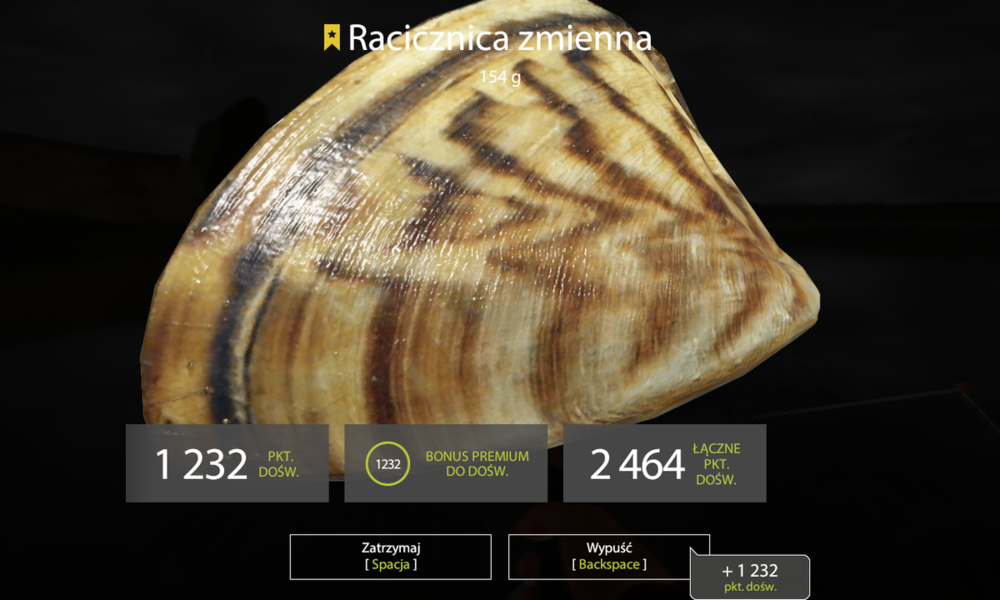 rf4_4.0.12536_20190825_155719.png