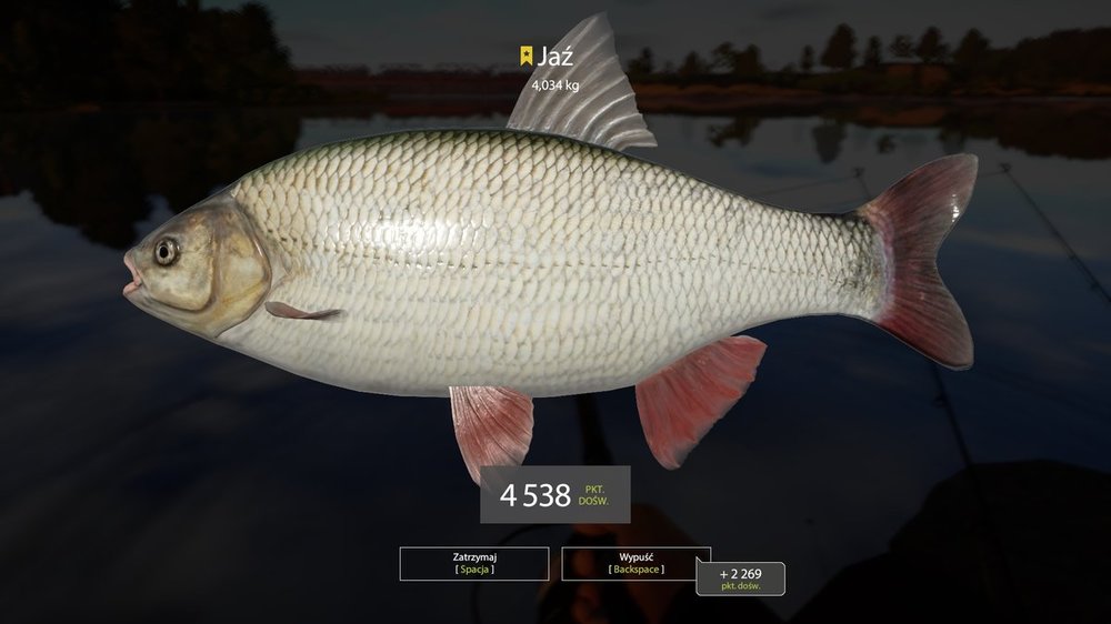 1111330442_volk71-100halibut14klip25.thumb.jpg.667467a67172ceac6b6e2ec40bf3097a.jpg