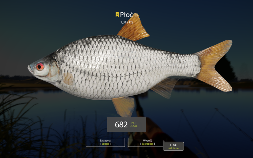 rf4_4.0.12727_20190926_095148.thumb.png.73d2ab3197af581240f1739b64deef67.png