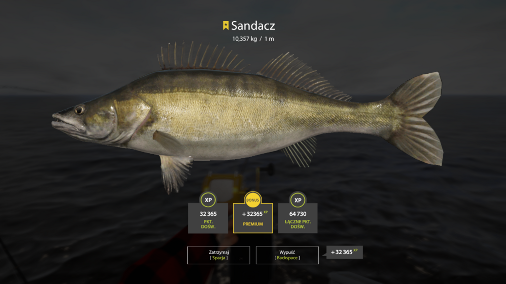 sandacz.png