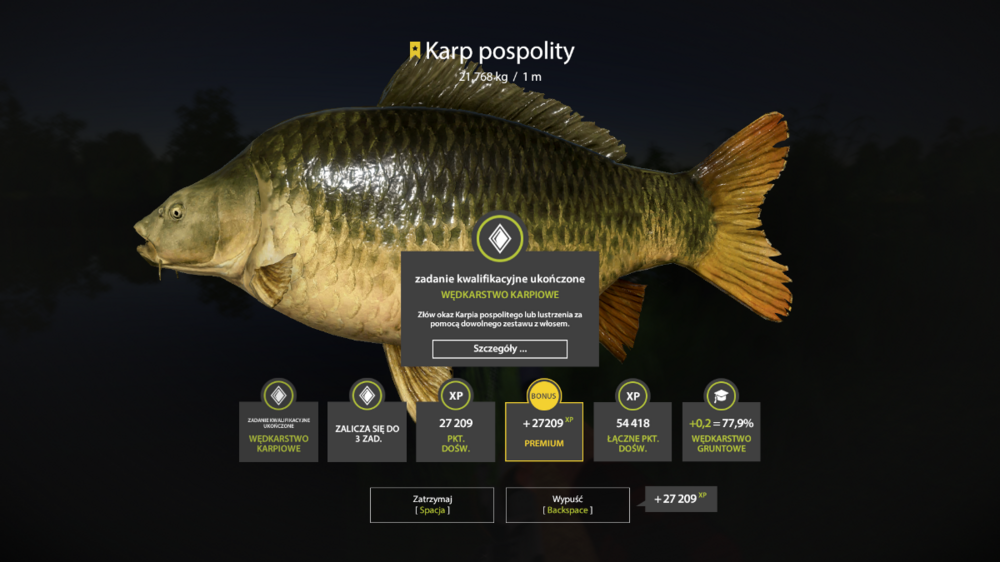 Zrzut ekranu (37).png