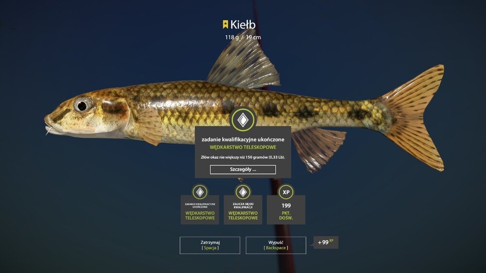 kielb.jpg