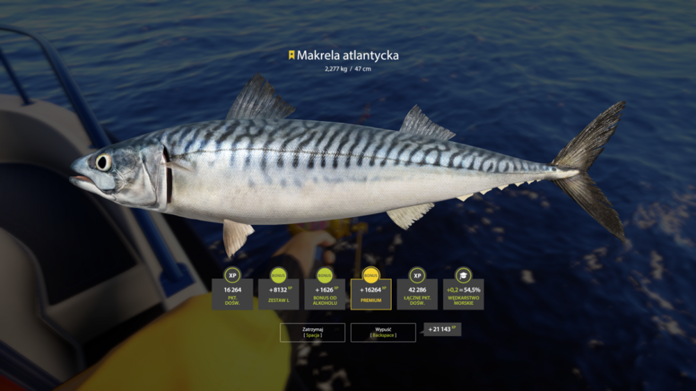 rf4_4.0.20008_20230409_183826.png