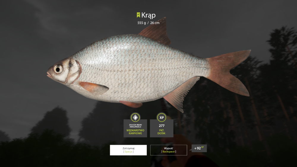 image.thumb.png.4b05288b5a0c96550ba806ffa61ccc88.png