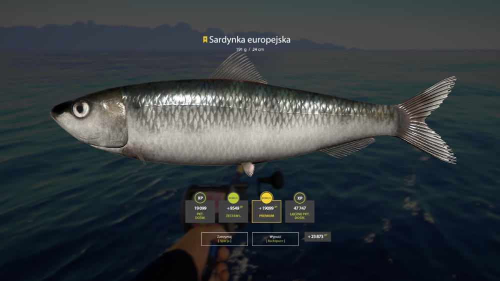 rf4_4.0.23340_20250706_132248.png