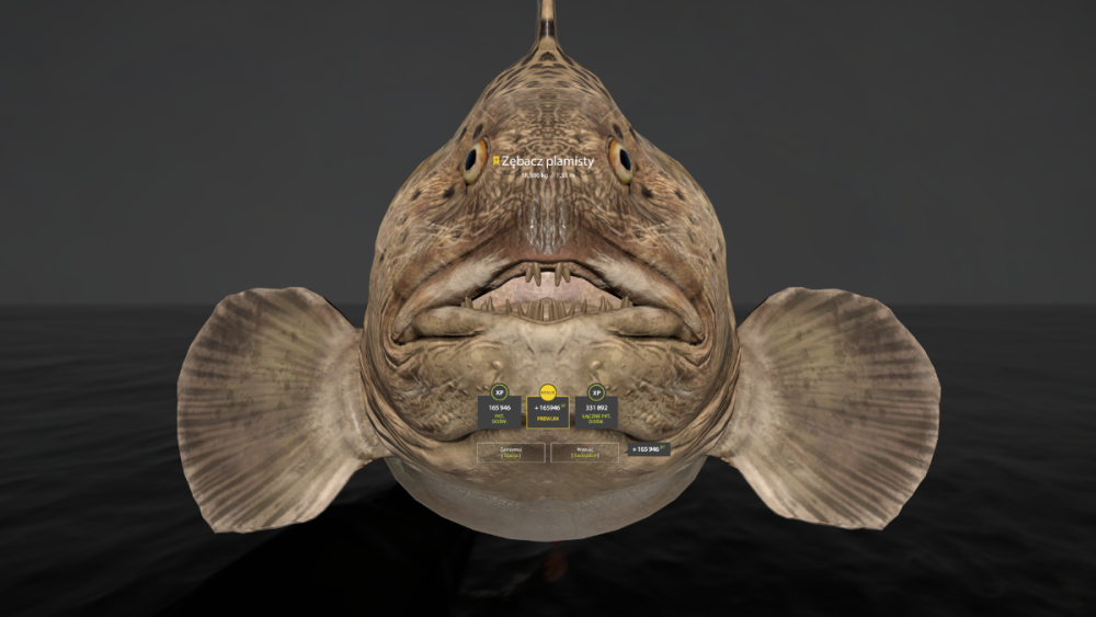 rf4_4.0.23340_20251021_162628.png
