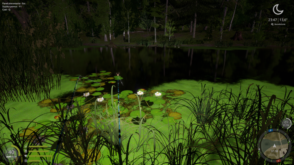 rf4_4.0.24258_20260130_155930.png