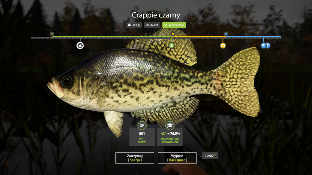 1271807156_RussianFishing4Screenshot2026_05.19-12_40_08_78.thumb.png.371e9f834372aeb8992d705d284ad61a.png