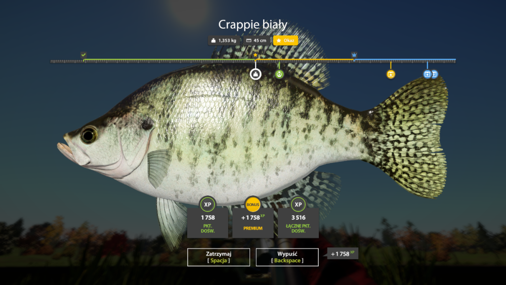 rf4_4.0.24502_20260510_142631.png