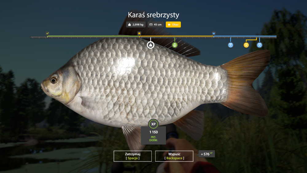 Zrzut ekranu (4).png